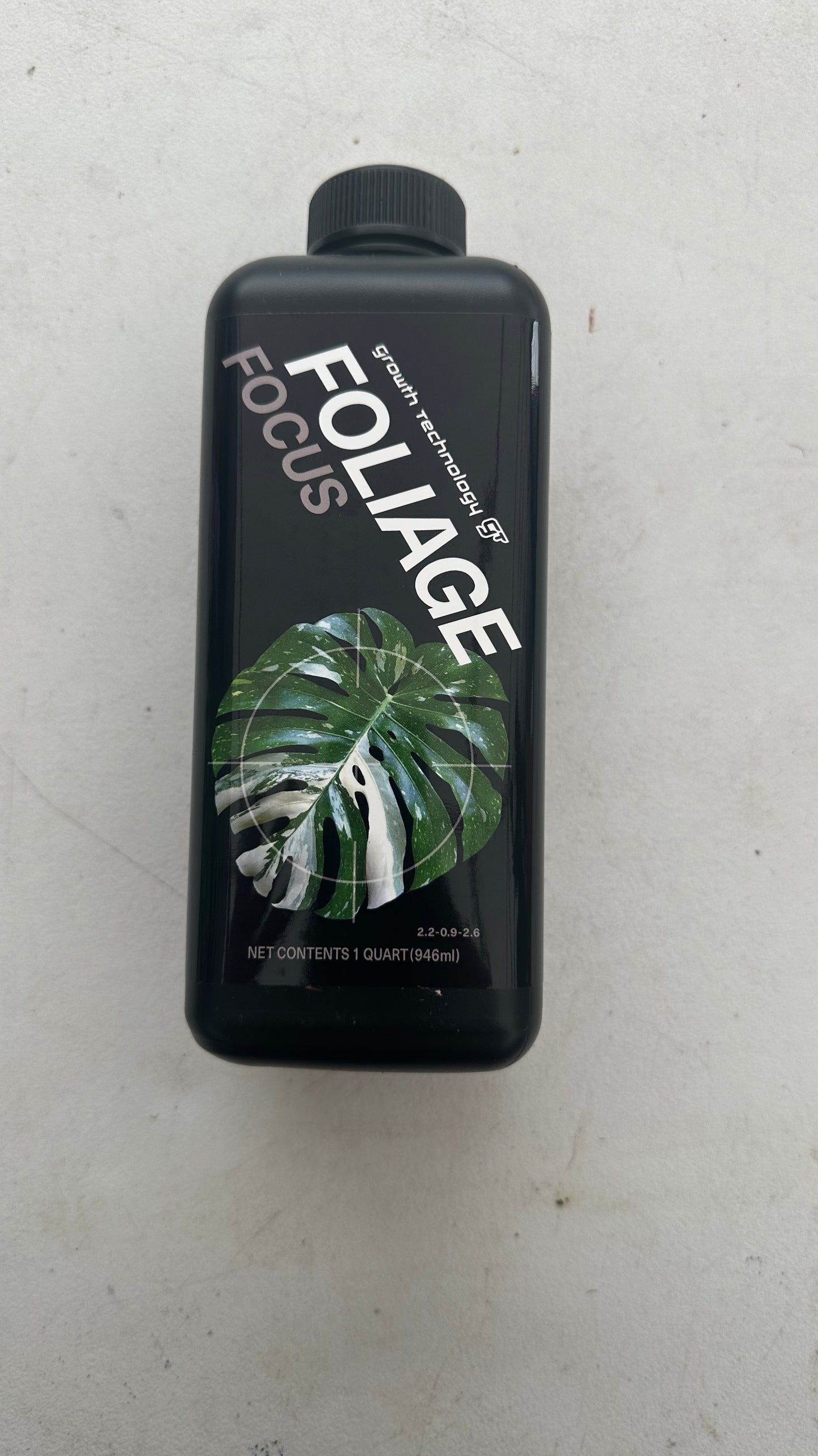 Foliage Ficus